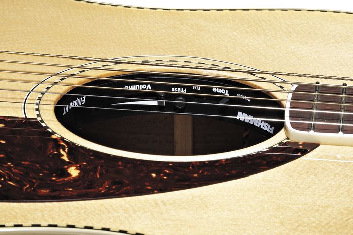 Fishman Ellipse Blend