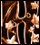 Les Automnales de Ballainvilliers, 4�me �dition du Festival International de Guitare