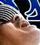 Carlos Santana, des classiques, des pointures mais pas d'album