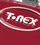 Quatre T.Rex Tonebug au crible
