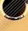 Une guitare VGS � gagner