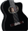 [Namm 2012] Takamine LTD2012C - Michi series