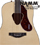 [Namm 2012] Gretsch G5034 Rancher Dreadnought