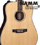 [Namm 2012]  Takamine EG536SHB