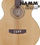[Namm 2012]  Guild B-54CE Standard