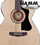 [Namm 2012]  Guild  AO-3CE