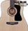 [Namm 2012]  Guild AD-3