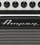 [Namm 2012] Ampeg Heritage B-15