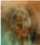 Philip Sayce - Steamroller