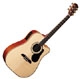 Alvarez Professional PD80SC