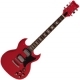 Staren  SSG300