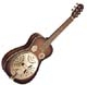 Johnson Guitar  MW10