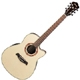 Ibanez AEF 18E