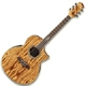 Ibanez EW EW20ZWE