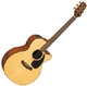 Takamine G series EG 440SC