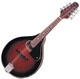 Johnson Amplification  MA-110 Ovale Hole