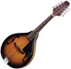 Johnson Guitar  MA-100 Lynchburg