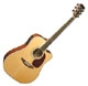 Alvarez Artist AD60CK