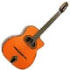 Gitane  D 500