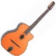 Gitane  DG 255