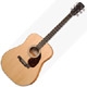 Larrivee  D 03