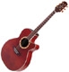 Takamine Speciale Country Jumbo TF508C