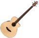 Breedlove  ABJ 250/SM