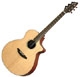 Breedlove  AJ 250/SM