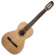 Achat Art & Lutherie Compacte Ami