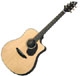 Breedlove  AD 25/SM