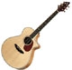 Breedlove  AJ 250/SF Plus