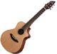 Breedlove Passeport series C 25