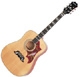 Epiphone  Dove