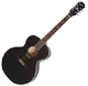 Epiphone  SQ 180