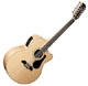 Alvarez Artist AJ60SC-12