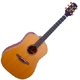 Takamine Natural AN10