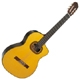 Takamine  T30