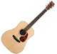 Breedlove Revival Series DR Deluxe