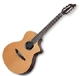 Breedlove Performance Series Concert SN25 Bossa Nova