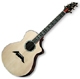 Breedlove Master Class Series Concert C25