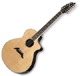 Breedlove Performance Series Concert Focus SC25