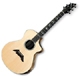 Breedlove Master Class Series Concert Northwest Classic C25