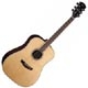 Cort Parkwood PW310r