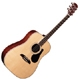 Alvarez Artist AD60S