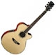 Cort SFX 6b