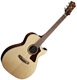 Guild Contemporary CV-1c