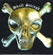 Skull strings  Bass 5 cordes 45-135