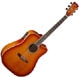 Cort MR 780FX