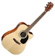 Cort MR 100F