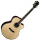 Cort CJ 10x